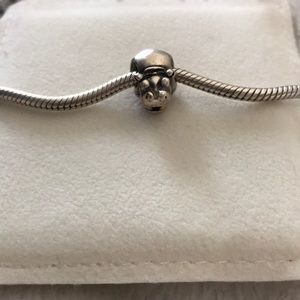 Pandora charm
